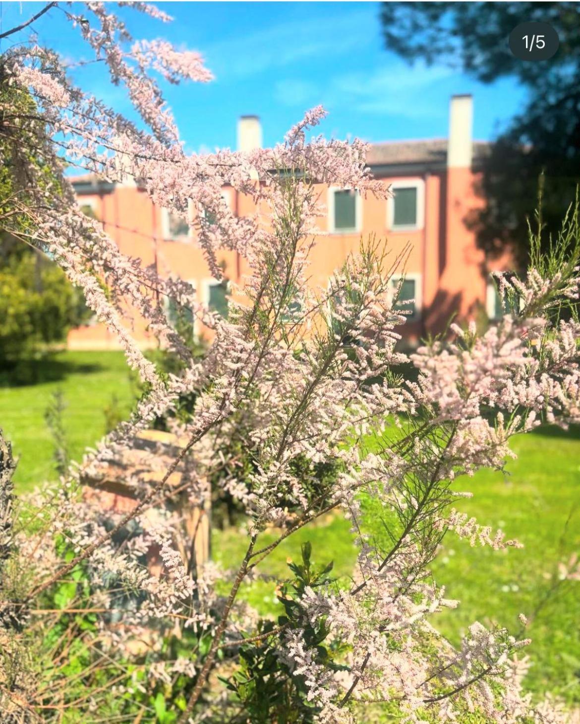 Agriturismo Ca' Bonelli 1924 Scardovari Εξωτερικό φωτογραφία